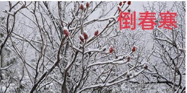 “春分不到雪不断，清明还寒要穿棉”，农谚预测年景，啥说法中央气象台四预警齐发气象台四预警齐发