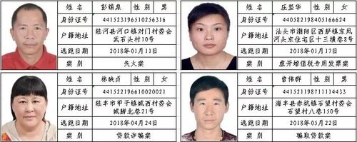 问下，上海市网络通缉犯查询名单，哪个网站可以找到上海在逃人员上海公安网09年4月上海市在逃通缉犯名单 摄像头