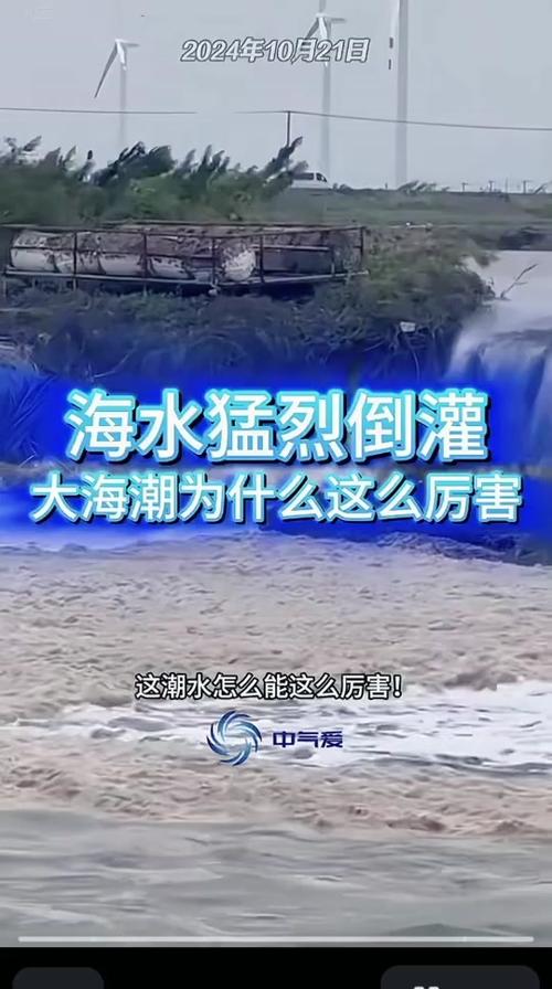 海水入侵和海水倒灌的后果沿海多地海水倒灌的原因海水倒灌会引起土壤盐碱化吗 乐视